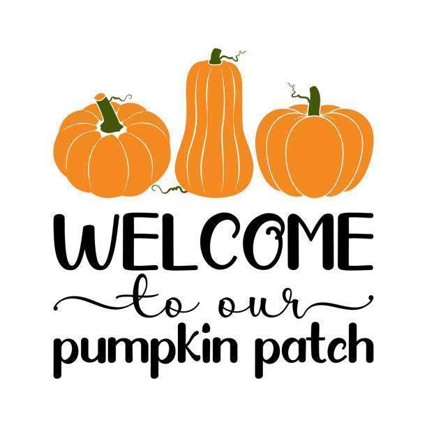 Welcome to Our Pumpkin Patch!