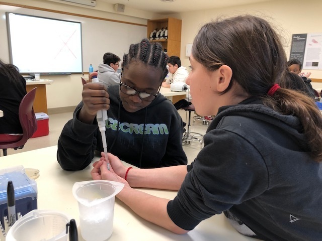DNA Lab
