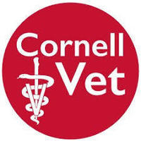 Careers in Veterinary Medicine