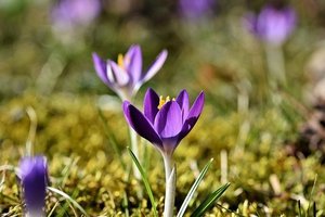 3/13 Update Regarding the Coronavirus