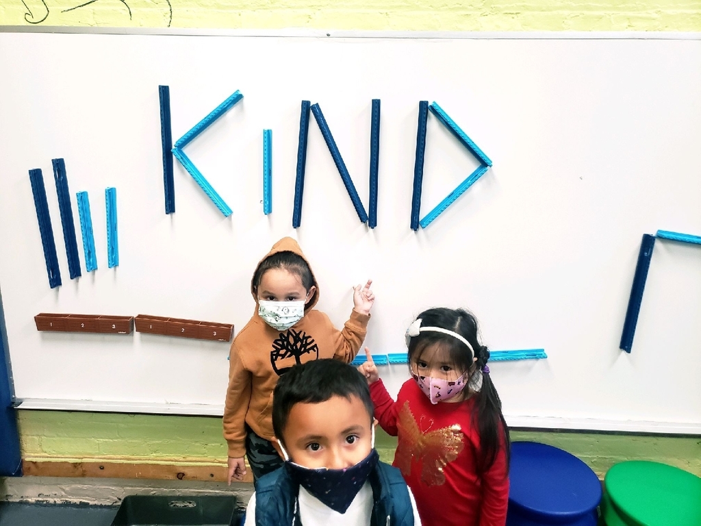 Kind
