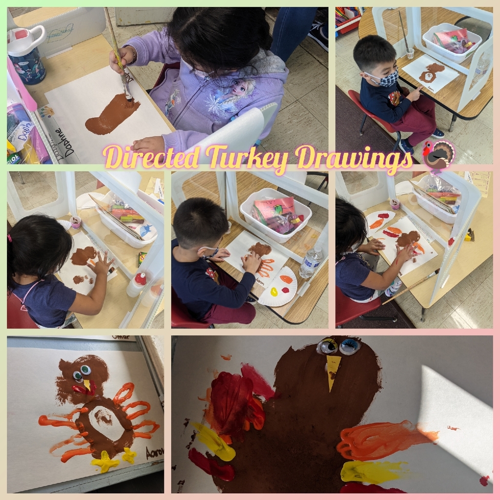 Directed Turkey Drawings