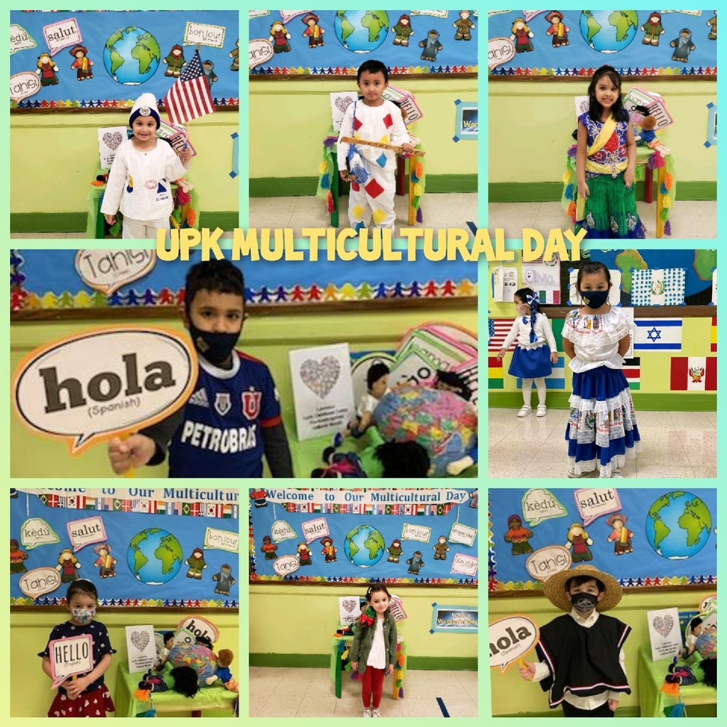 Multicultural Day