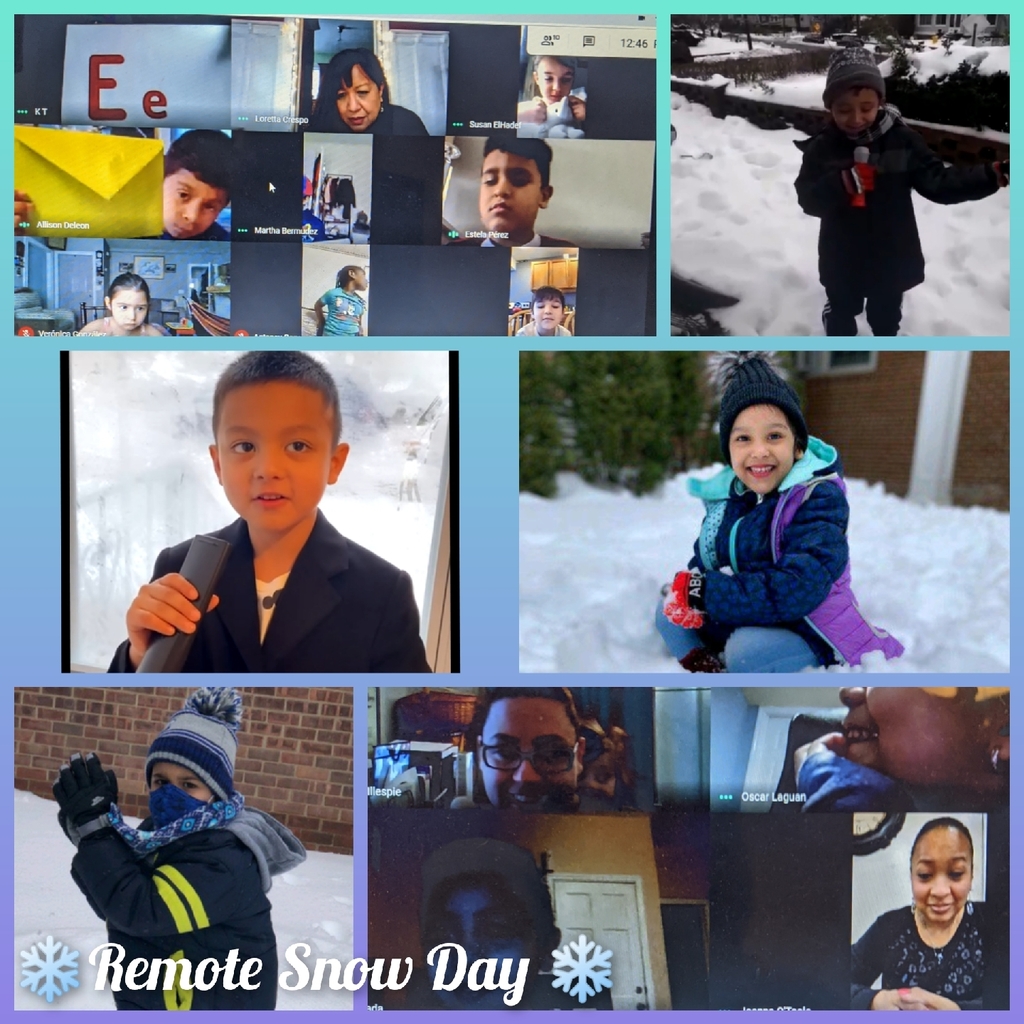 Remote Snow Days