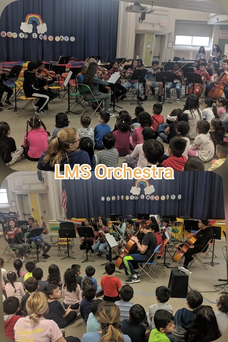 LMS Orchestra